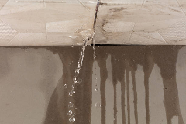 Professional Water Damage Inspection technician working in Kosse, TX